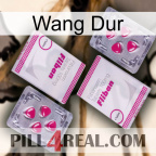 Hard Wang 33